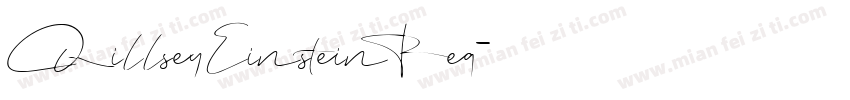 Qillsey Einstein Reg字体转换